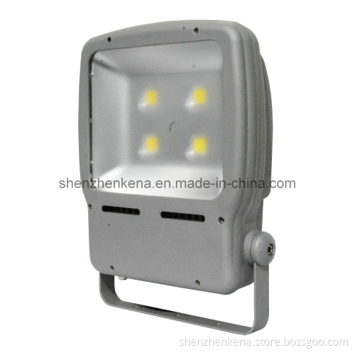LED Flood Light LED Spot Light 10W-200W